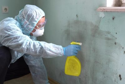 Mold-Remediation-service-1 Mold-Remediation-service-1